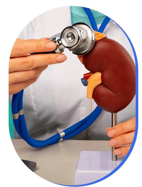 especialista-en-rinones.png