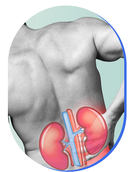 tratamiento-de-enfermedad-renal.png